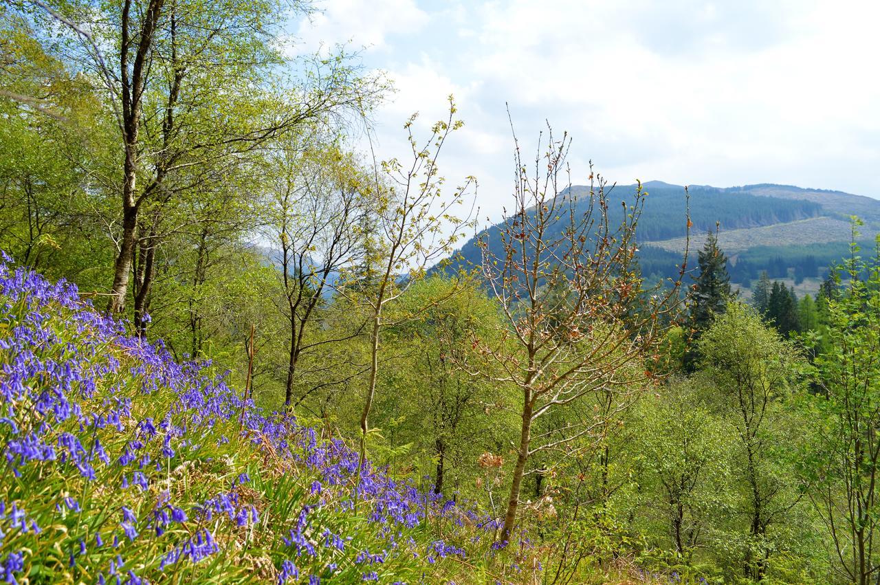 Glenbranter Cottage Strachur Zewnętrze zdjęcie